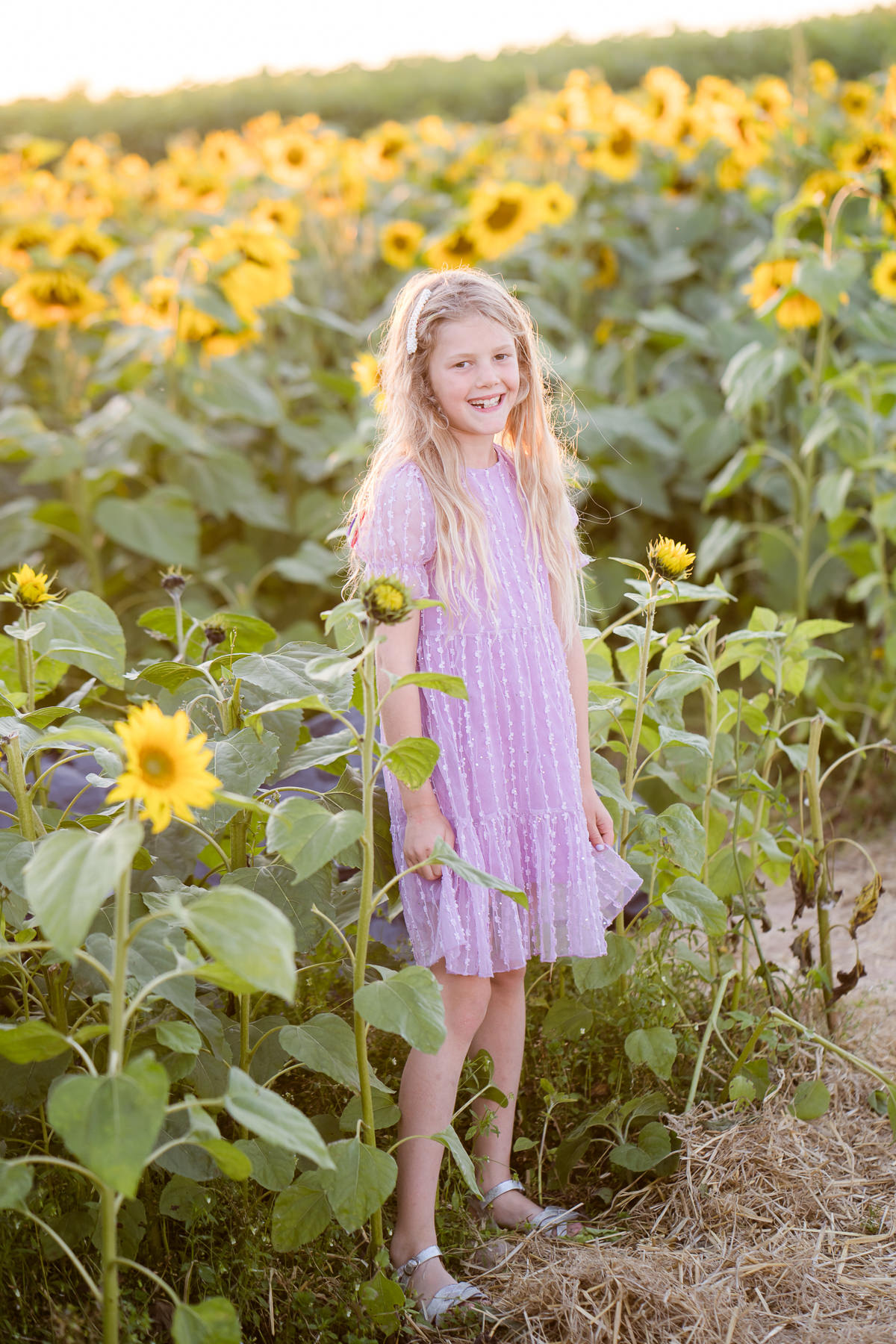 a portrait of a girl holding a sunflower up to her face in a field of sunflowers in Salisbury Wiltshire
