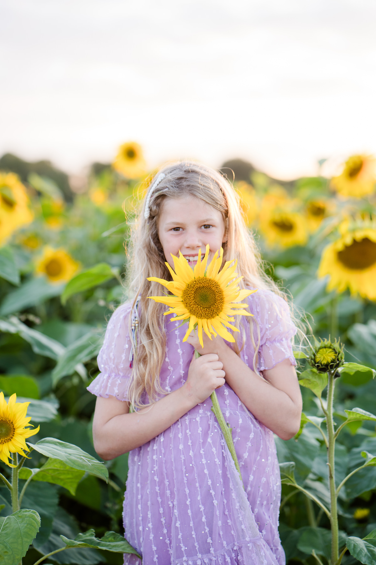 Harvey Girls a portrait of a girl holding a sunflower up to her face in a field of sunflowers in Salisbury Wiltshire